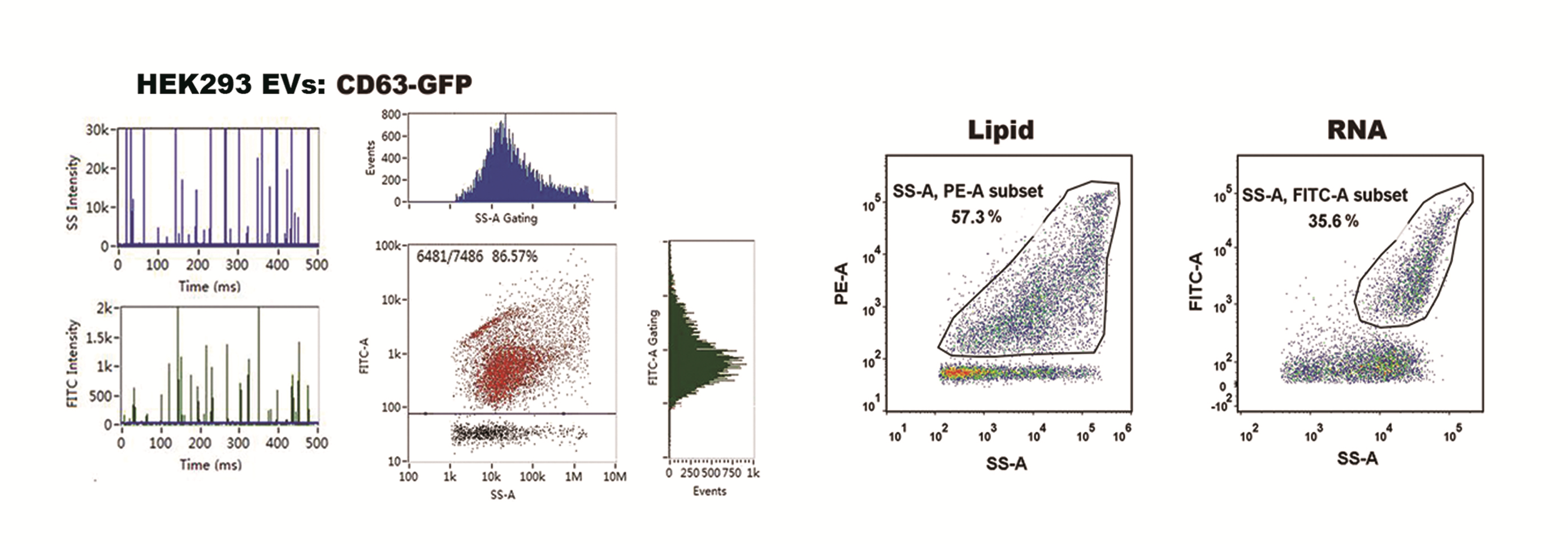 Lipid and RNA