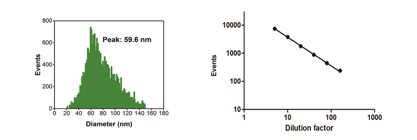 Extracellular Vesicles Size Distribution