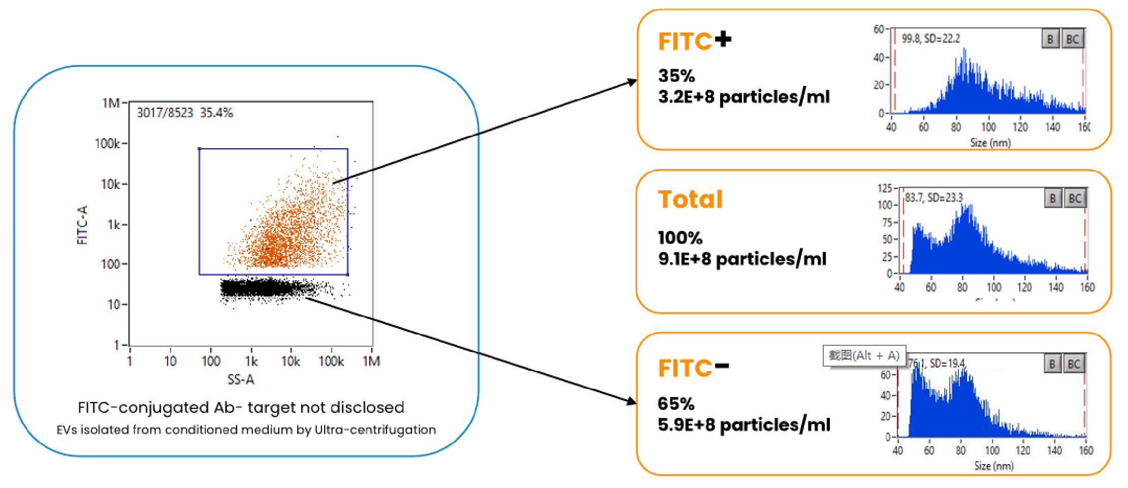 Extracellular Vesicles SubPopulation