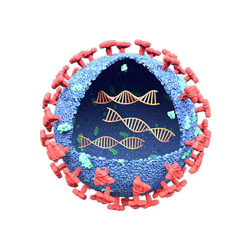 Optimize formulation and delivery performance of mRNA-LNPs